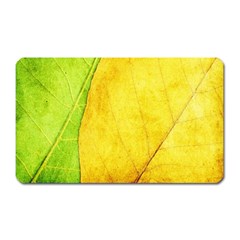 Green Yellow Leaf Texture Leaves Magnet (rectangular)