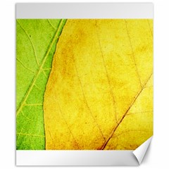 Green Yellow Leaf Texture Leaves Canvas 8  X 10 