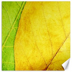 Green Yellow Leaf Texture Leaves Canvas 20  X 20 