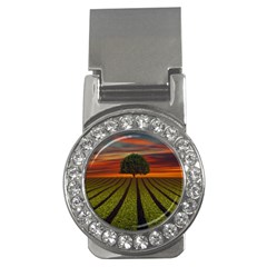 Natural Tree Money Clips (CZ) 