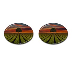 Natural Tree Cufflinks (Oval)