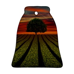 Natural Tree Ornament (Bell)