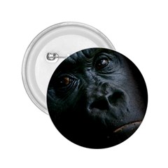 Gorilla Monkey Zoo Animal 2 25  Buttons by Nexatart