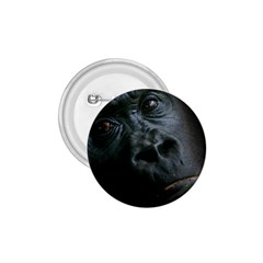 Gorilla Monkey Zoo Animal 1 75  Buttons by Nexatart