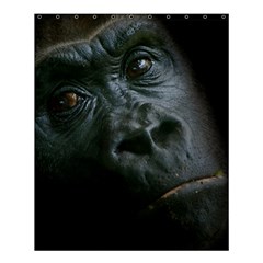 Gorilla Monkey Zoo Animal Shower Curtain 60  X 72  (medium)  by Nexatart