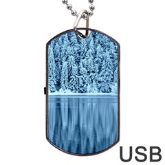 Snowy Forest Reflection Lake Dog Tag Usb Flash (two Sides)