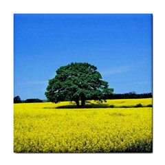 Tree In Field Tile Coasters