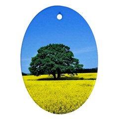 Tree In Field Oval Ornament (two Sides) by Alisyart