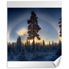 Winter Sunset Pine Tree Canvas 16  X 20 