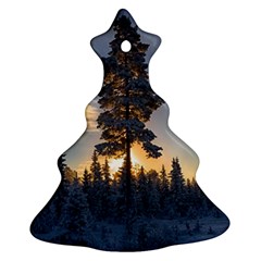 Winter Sunset Pine Tree Christmas Tree Ornament (two Sides)