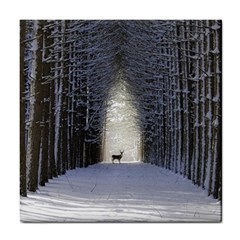 Trees Nature Snow Deer Landscape Winter Tile Coasters