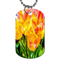 Festival Of Tulip Flowers Dog Tag (two Sides) by FunnyCow