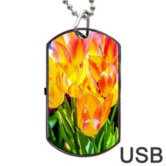 Festival Of Tulip Flowers Dog Tag Usb Flash (two Sides) by FunnyCow