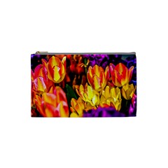 Fancy Tulip Flowers In Spring Cosmetic Bag (small) by FunnyCow