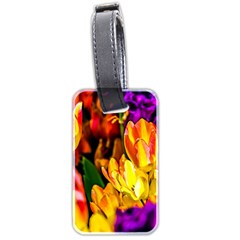 Fancy Tulip Flowers In Spring Luggage Tags (two Sides) by FunnyCow