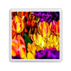 Fancy Tulip Flowers In Spring Memory Card Reader (square) by FunnyCow