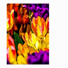 Fancy Tulip Flowers In Spring Small Garden Flag (two Sides) by FunnyCow