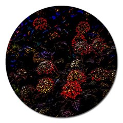 Floral Fireworks Magnet 5  (round) by FunnyCow