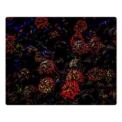 Floral Fireworks Double Sided Flano Blanket (Large) 