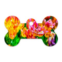 Blushing Tulip Flowers Dog Tag Bone (one Side) by FunnyCow