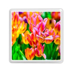 Blushing Tulip Flowers Memory Card Reader (square) by FunnyCow