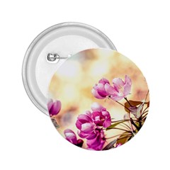 Paradise Apple Blossoms 2 25  Buttons by FunnyCow