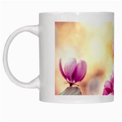Paradise Apple Blossoms White Mugs by FunnyCow