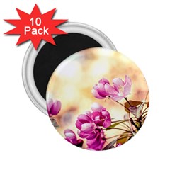 Paradise Apple Blossoms 2 25  Magnets (10 Pack)  by FunnyCow