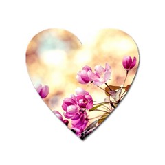 Paradise Apple Blossoms Heart Magnet by FunnyCow