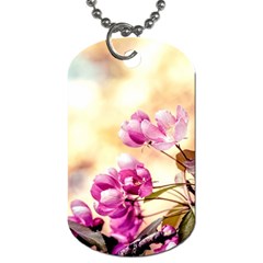 Paradise Apple Blossoms Dog Tag (one Side) by FunnyCow