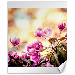 Paradise Apple Blossoms Canvas 16  X 20  by FunnyCow