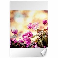 Paradise Apple Blossoms Canvas 20  X 30  by FunnyCow