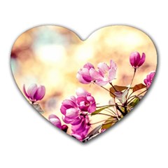 Paradise Apple Blossoms Heart Mousepads by FunnyCow