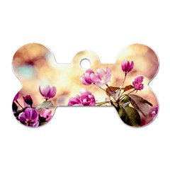 Paradise Apple Blossoms Dog Tag Bone (two Sides) by FunnyCow