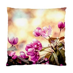 Paradise Apple Blossoms Standard Cushion Case (two Sides) by FunnyCow