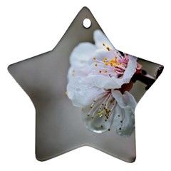 Rainy Day Of Hanami Season Ornament (star) by FunnyCow