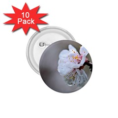 Rainy Day Of Hanami Season 1 75  Buttons (10 Pack) by FunnyCow