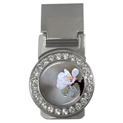 Rainy Day Of Hanami Season Money Clips (cz) 