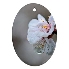 Rainy Day Of Hanami Season Oval Ornament (two Sides) by FunnyCow