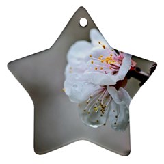 Rainy Day Of Hanami Season Star Ornament (two Sides) by FunnyCow
