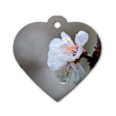 Rainy Day Of Hanami Season Dog Tag Heart (one Side) by FunnyCow