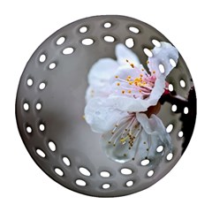 Rainy Day Of Hanami Season Round Filigree Ornament (two Sides) by FunnyCow
