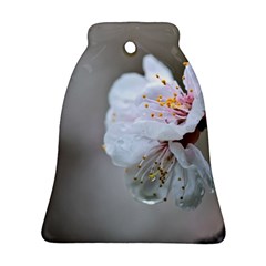 Rainy Day Of Hanami Season Bell Ornament (two Sides) by FunnyCow