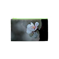 Rainy Day Of Hanami Season Cosmetic Bag (xs) by FunnyCow