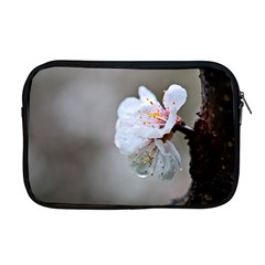 Rainy Day Of Hanami Season Apple Macbook Pro 17  Zipper Case by FunnyCow