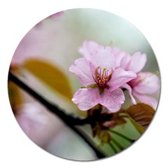 Soft Rains Of Spring Magnet 5  (round) by FunnyCow