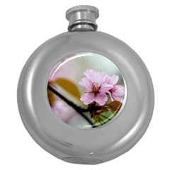 Soft Rains Of Spring Round Hip Flask (5 Oz) by FunnyCow