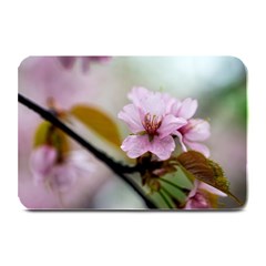 Soft Rains Of Spring Plate Mats by FunnyCow