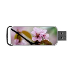 Soft Rains Of Spring Portable Usb Flash (two Sides) by FunnyCow