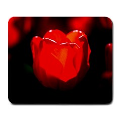 Red Tulip A Bowl Of Fire Large Mousepads by FunnyCow